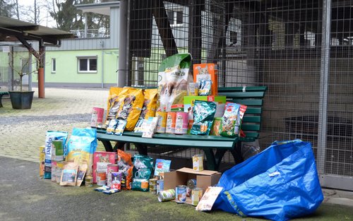 Organisation: Tierheim Koppelweide: Ein Jubiläum Und Ein Abschied - BSV ...