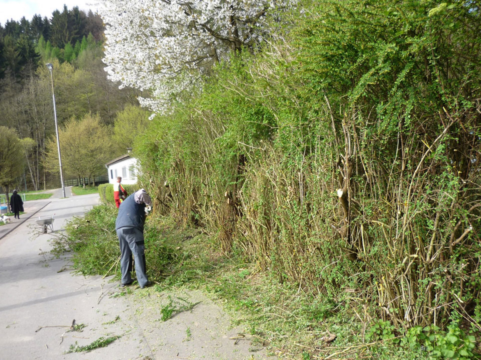 Wie in jedem Jahr führt der Verein auch 2015 wieder den Frühjahrsputz durch 